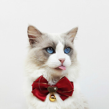 梦茜儿可爱猫领结猫咪饰品铃铛布偶项圈小猫用品宠物项链蝴蝶结 灼眼