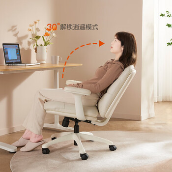 富凯电脑椅家用书房椅轻奢学习椅子人体工学办公椅升降转椅B2315 富凯电脑椅家用书房椅轻奢学习椅子人体工学办公椅升降转椅B2315