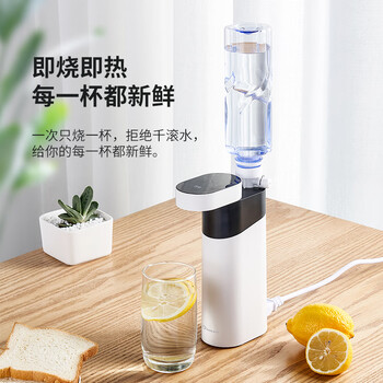 卓朗便携式热水壶烧水壶烧水杯 便携即热式饮水机 小型迷你旅行热水壶  ZL-2019