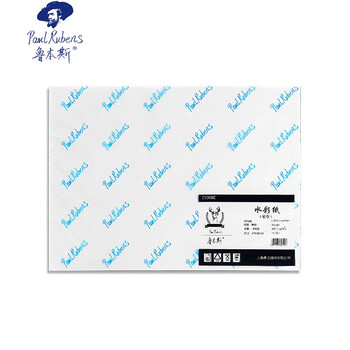 鲁本斯（PaulRubens）星空水彩纸加厚8K细纹300g棉浆纸素描纸学生初学美术绘画纸10张/包0111085