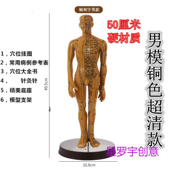 星羅宇創意中醫針灸穴位人體模型人偶醫學全身經絡穴位圖扎針練習小皮