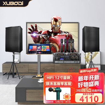 炫宝迪家庭影院ktv音响套装点歌机一体机家用卡拉ok会议室功放音箱语音点唱机台双系统 12寸音响+19.5寸点歌机1T+一拖四无线话筒