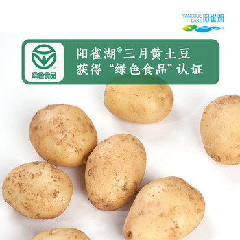 阳雀湖(yangquelake)阳雀湖樟树港三月黄土豆2斤【赠品勿拍】