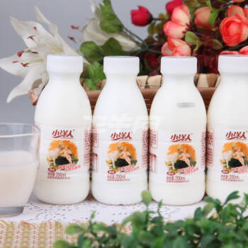 吃情派12瓶小洋人儿童纯牛奶发酵型乳酸菌酸奶饮品200ml原味新鲜3月