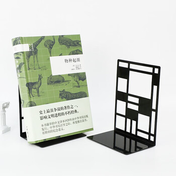 得印(befon)6.5英寸(高16.5cm)书立创意 镂空方格金属铁书立架子 书架夹书靠铁书架书夹书挡 2片/付 黑色3975