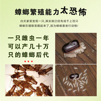 CHEIR杀虫剂基孔肯雅热水灭蟑螂药除螨除飞虫驱蚊无味喷雾杀虫剂600ml CHEIR杀虫剂基孔肯雅热水灭蟑螂药除螨除飞虫驱蚊无味喷雾杀虫剂600ml