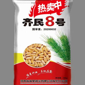 细辛国审小麦种子大全矮杆抗旱抗倒伏抗病原种农科院新品种 国审齐民8