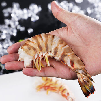 野生无头虾海鲜活去头斑节虾水产虾仁九节虾大虾海虾竹节虾 3-5条/盒