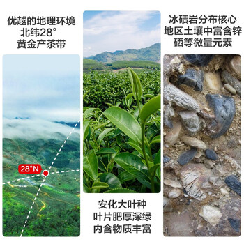 白沙溪 安化黑茶 小金沱 一芽二三叶嫩料 三年陈料 茶叶 小沱茶178g罐装 黑砖茶 颗颗醇
