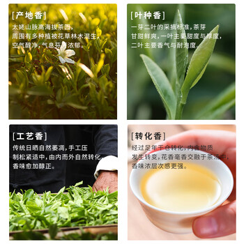 熙溪福鼎白茶 2019年白牡丹300g 单饼白茶饼囤茶老白茶茶叶 