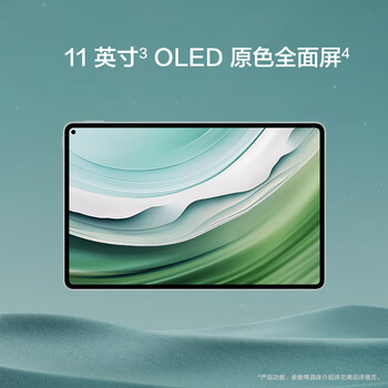 HUAWEI MatePad Pro 11英寸2024款华为平板电脑2.5K全面屏8+256GB WIFI 雅川青