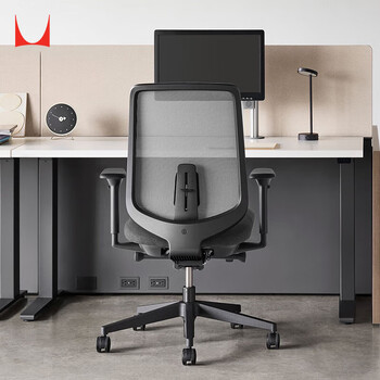 赫曼米勒（HERMAN MILLER）Verus人体工学椅 电脑椅 办公椅 座椅 经典款 网状织物\碳黑色