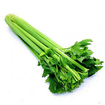 新鲜西芹5斤嫩西芹芯农家自种现拔新鲜蔬菜类胡芹香芹3斤/5斤 三斤去