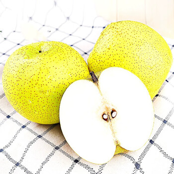 时染雪梨河北特产雪花梨赵县新鲜水果当季整箱精选装 精选4斤装【图片