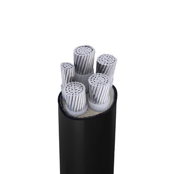 沈航电缆 国标五芯铝缆yjlv 4*50 1*25平方铝芯架空户外电线电缆 1米