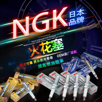 Ngk原厂火花塞套装 适用于 依铂金套装4支价 荣威i5 I6 Ei6 Rx3 Rx5 Rx8 图片价格品牌报价 京东