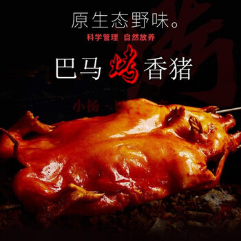 巴马特产烤香猪肉整只小香猪烤乳猪全猪脆皮巴马香猪肉礼顺丰邮 其它