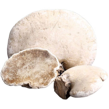 北 ·京同仁·堂 野生白灵芝长白山整枝野生白灵芝片