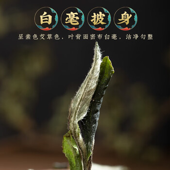 福茗源茶叶白茶 正宗福鼎白茶白牡丹 特级2017年茶叶礼盒送人250g 福茗源茶叶白茶 正宗福鼎白茶白牡丹 特级2017年茶叶礼盒送人250g
