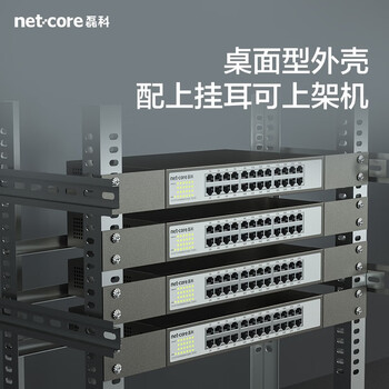 磊科（netcore）S24G 24口千兆交换机 网线分流器 工程高清监控网络分线器 企业级交换机 稳定高速传输