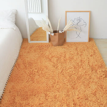 北欧ins风卧室地毯飘窗满铺床边毯床前厚家用少女纯色长毛绒定制姜