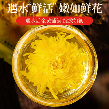 同仁堂（TRT）菊花茶金丝皇菊特级大菊花胎菊养生茶泡水喝的花草茶叶42包22g/盒