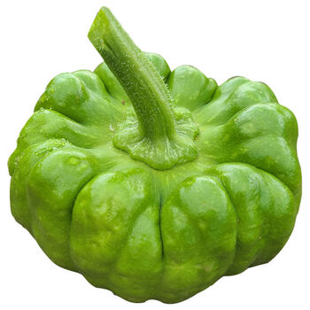 云南姜柄瓜10斤新鲜小麦瓜嫩南瓜小瓜新鲜蔬菜面瓜小南瓜10斤