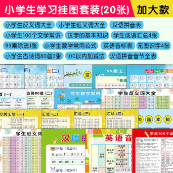 無圖識字卡教材 發音大卡帶筆 20張小學生語數外知識點學習掛圖【大