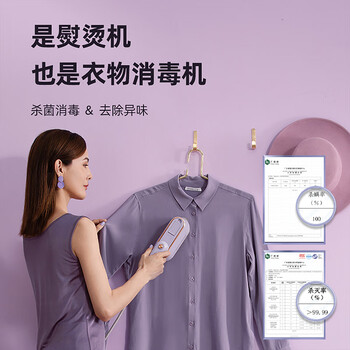 大宇（DAEWOO）【差旅便携】挂烫机家用增压大蒸汽熨烫机 旅游出差便携式熨衣机 手持小型除菌除螨熨斗HI-029-LV