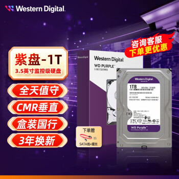 西部数据（WD） 紫盘1TB  SATA接口 3.5英寸 台式机电脑硬盘 安防监控硬盘(WD11PURZ)