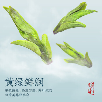 音朗 茶叶绿茶 特级正宗西湖龙井茶明前 新茶高档茶叶礼盒送长辈250g