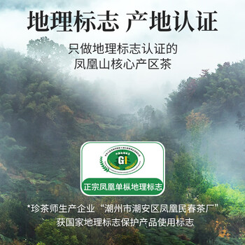 珍茶师乌龙茶凤凰单枞鸭屎香特级500g 罐装潮州单丛茶叶自己喝