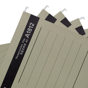 齐心(Comix) 25个易查找吊挂夹 倒挂夹 文件夹 A4 纸质资料夹 灰 A1812 齐心(Comix) 25个易查找吊挂夹 倒挂夹 文件夹 A4 纸质资料夹 灰 A1812