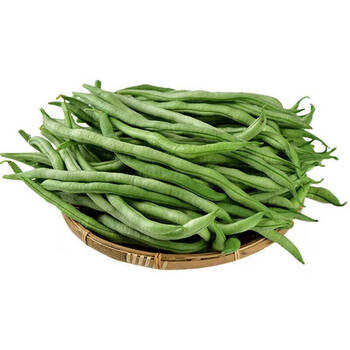 云南高山无筋豆无丝筋豆架豆蔬菜新鲜四季豆扁豆豆角农家种植现摘