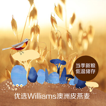 悠采中粮五谷燕麦片600g（30g*20袋）高纤全谷物烘焙 冲泡速食代餐