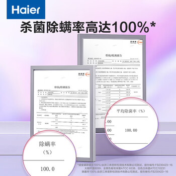 海尔（Haier）手持挂烫机小型蒸汽电熨斗大面板家用差旅折叠迷你便携烫衣机除菌除皱速烫定型熨烫机HY-YM1501P