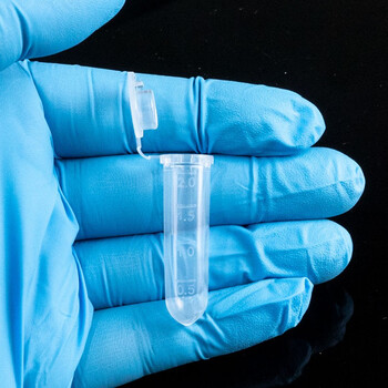 海斯迪克 HK-148 塑料离心管 带刻度EP管种子瓶 2ML连盖（500个）