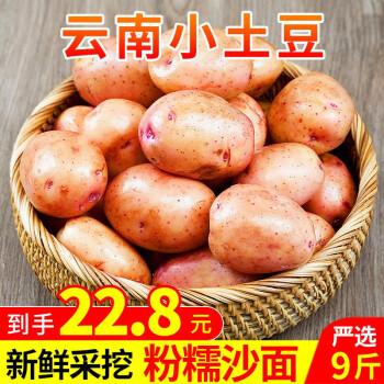 卫青沙窝 云南小土豆 红皮黄心小土豆 洋芋 马铃薯 新鲜蔬菜 8.5斤