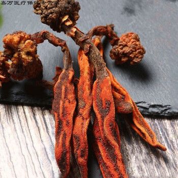 花初醒支持國產·250g 回春草泡酒料搭鎖陽肉蓯蓉正宗不老草新鮮起陽