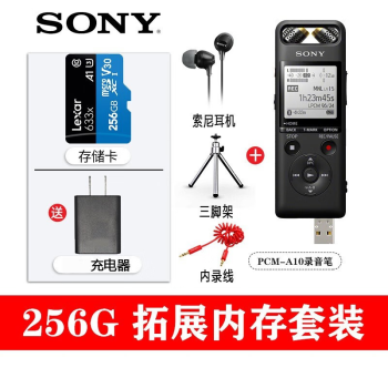 索尼ICD-SX2000价格报价行情- 京东
