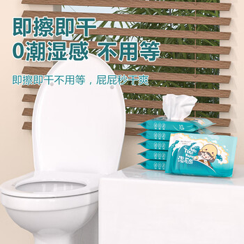 米特医生湿厕纸便携小包装 10片*12包 私处清洁湿巾 可降解厕纸 米特医生湿厕纸便携小包装 10片*12包 私处清洁湿巾 可降解厕纸