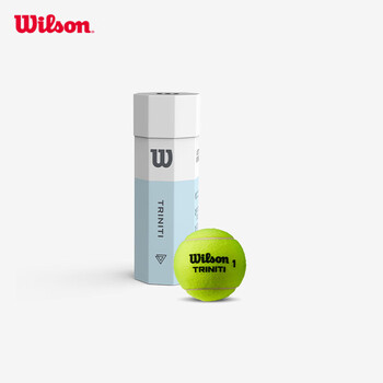 Wilson威尔胜全场地用球美网澳网专业训练网球 3粒装（球面数字随机）