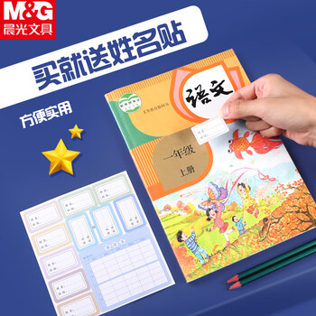 晨光（M&G）书皮大号A4/10张自粘包书皮小学生透明磨砂书壳包装纸课本保护套包书膜开学必备FWT94498