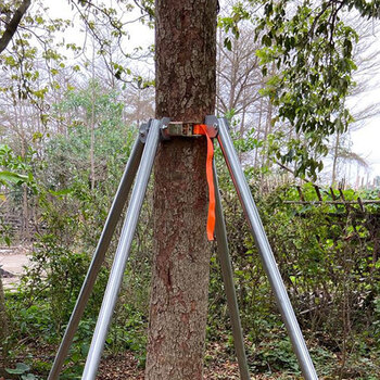 树木支撑架固定器 镀锌钢管支撑杆 紧带式金属套杯防风支架 1.