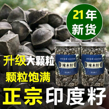 特级大颗粒辣木子1斤装正宗印度辣木籽500g食用黑壳白仁手工精选饱满足龄熟果罐装 培元济世 图片价格品牌报价 京东