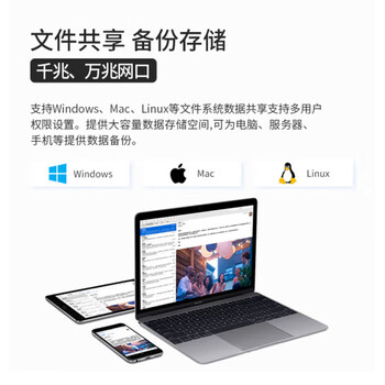 火蓝存储（hoodblue）TS5012万兆光纤nas网络存储服务器12机架式盘位磁盘阵列共享备份TS5012-RP-144TB