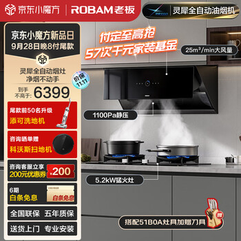 老板（Robam）灵犀全自动侧吸油烟机25大吸力变频抽油烟机家用燃气灶具烟灶套装29X8S+57B6D（天然气）