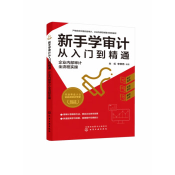 新手学审计从入门到精通：企业内部审计全流程实操 azw3格式下载