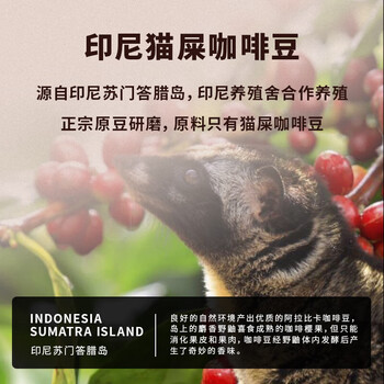 野鼬咖啡 麝香猫咖啡精品挂耳猫屎咖啡进口原料情人节送礼品礼盒10g*12杯