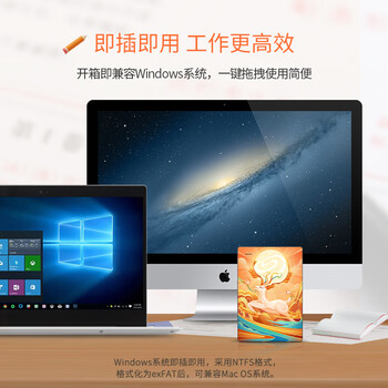 希捷（SEAGATE）移动硬盘 2TB USB3.0高速 希捷简定制款 机械硬盘 兼容Mac 便捷 鹿鸣之喜 数据恢复服务 外接存储